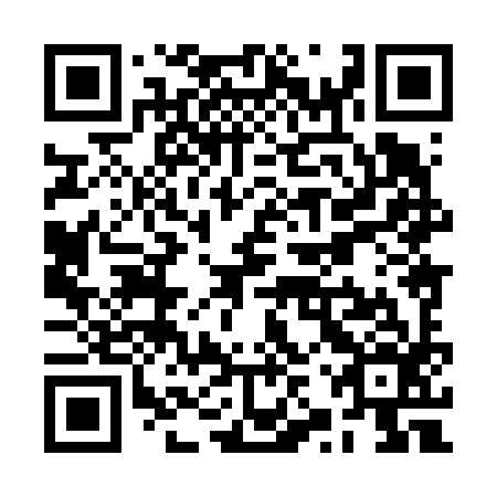 QR code for plate RZX-696