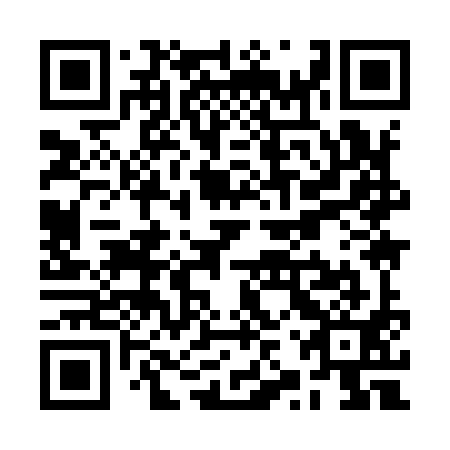 QR code for RZY-991