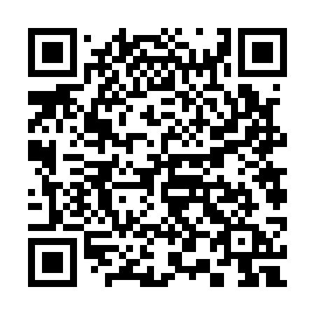 QR code for plate S06-13A
