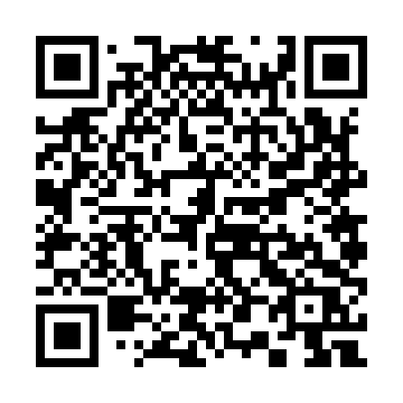 QR code for plate S06-94R