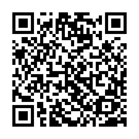 QR code for S22-96Z