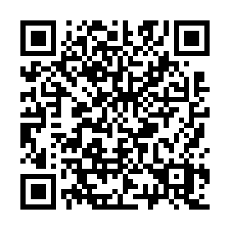 QR code for S38-63X