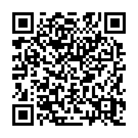 QR code for S3838X
