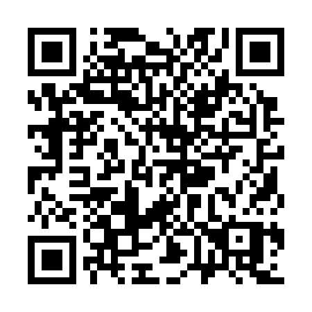 QR code for S6133P