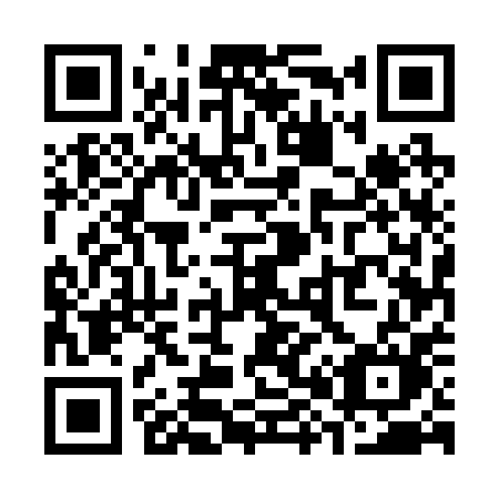 QR code for plate S85-20M