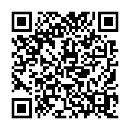 QR code for S8971H
