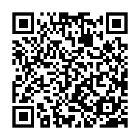 QR code for plate SBP-335