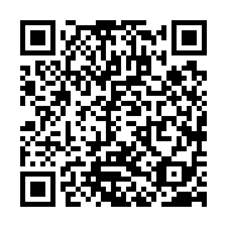 QR code for plate SDX-719