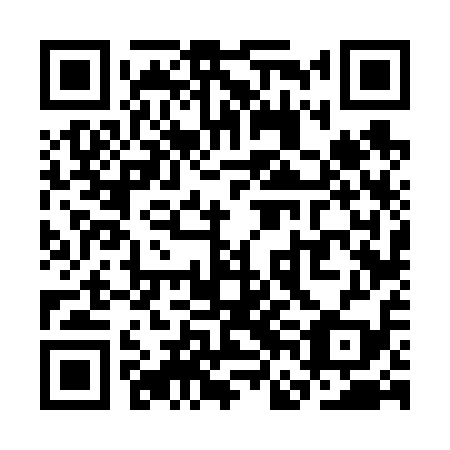 QR code for plate SFF-619