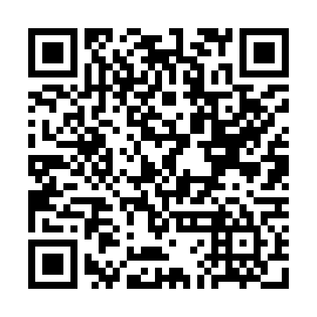 QR code for plate SFF-965