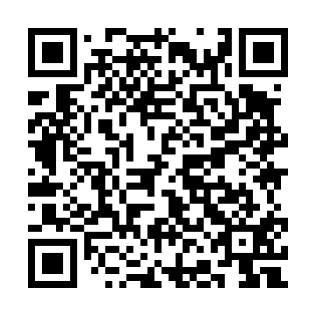QR code for SFI411