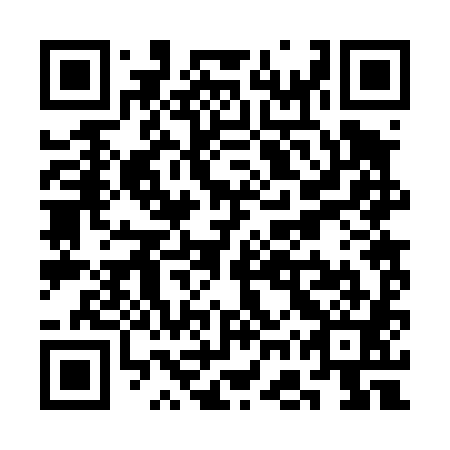 QR code for plate SGR-481