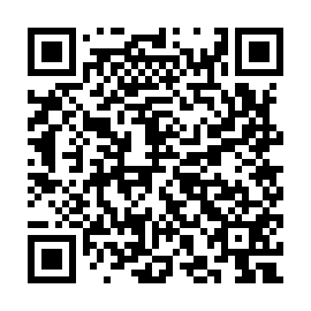 QR code for plate SHG-951