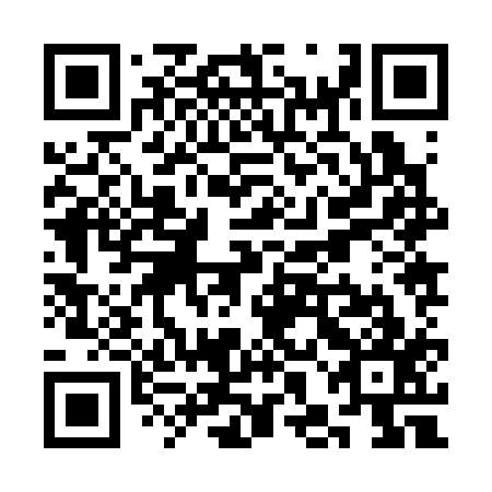 QR code for SHJ317