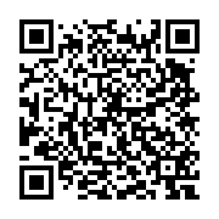 QR code for plate SLK-451
