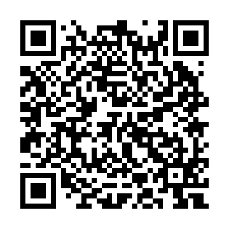 QR code for SMQ-295