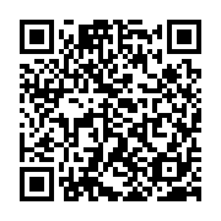 QR code for plate SNK-310