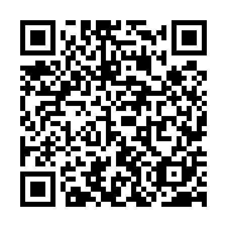QR code for plate SON-501