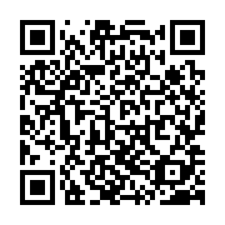 QR code for STO-389