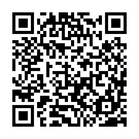 QR code for SVX294