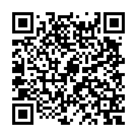 QR code for plate SYP-460