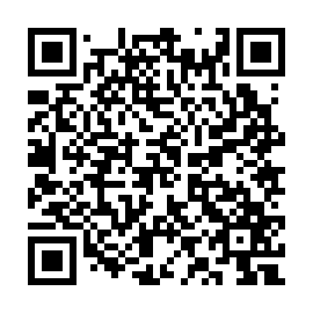 QR code for plate SYZ-367