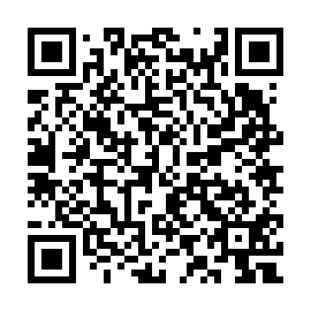 QR code for SYZ611