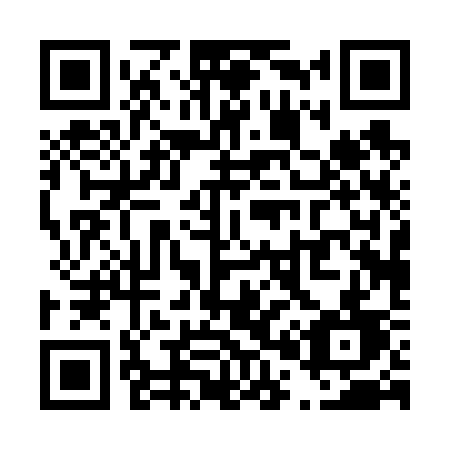 QR code for T0063D