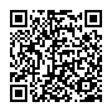 QR code for plate T01-32U