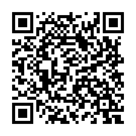 QR code for T0296M