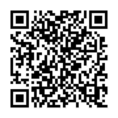 QR code for plate T04-20J