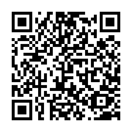 QR code for T0450Z