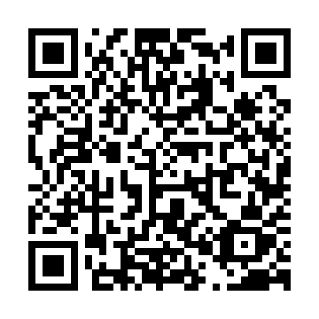 QR code for T06-11Z