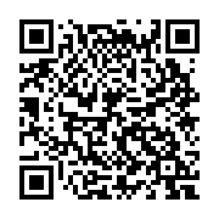 QR code for T11-33G