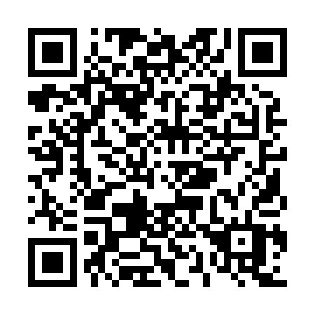 QR code for T11-81T