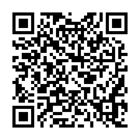 QR code for T11-85N