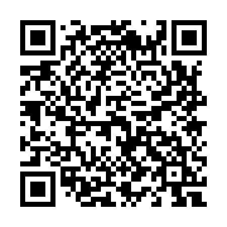 QR code for plate T11-95K