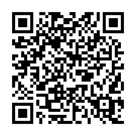 QR code for T12-95G