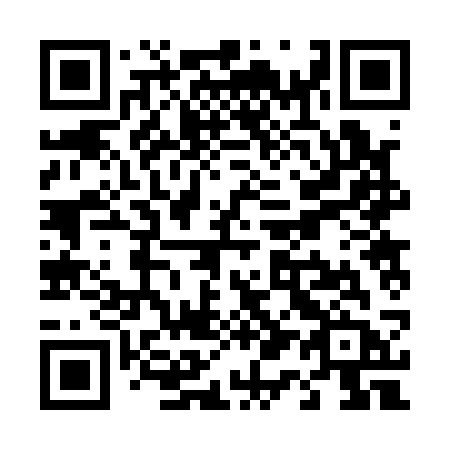 QR code for plate T12-13B