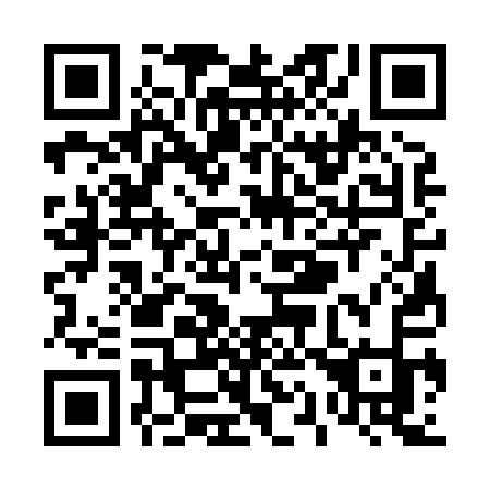 QR code for T13-81K
