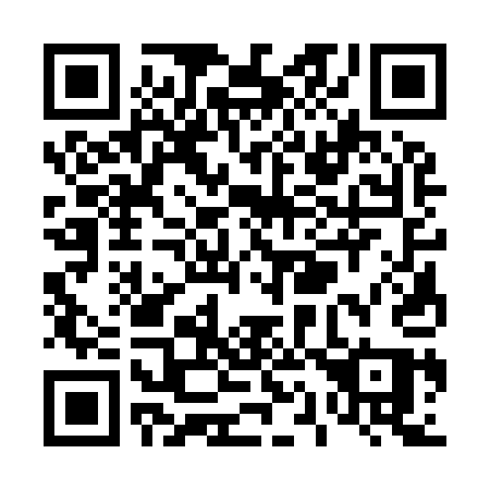 QR code for T13-91Q