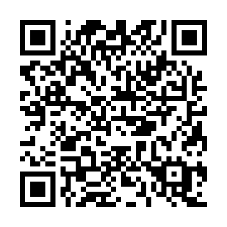 QR code for T1313E