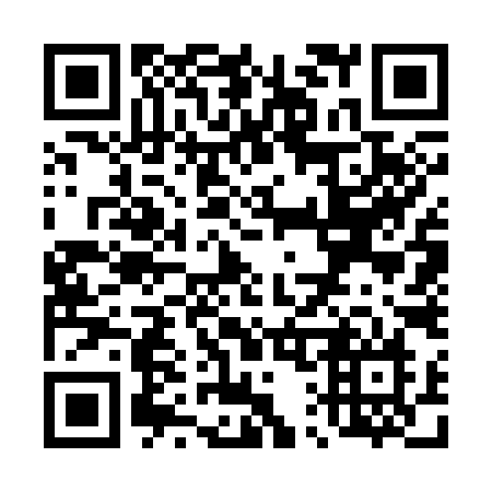 QR code for plate T17-39N