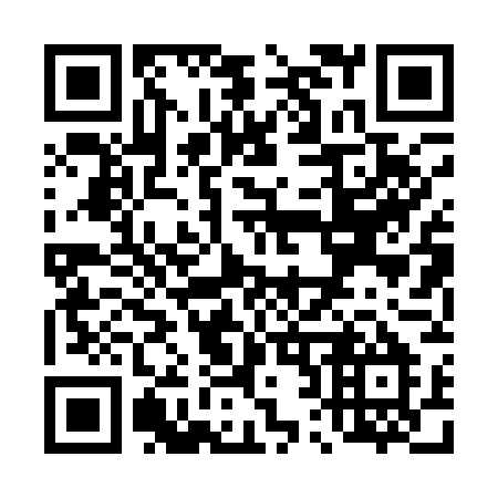 QR code for T20-17M