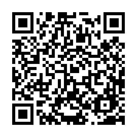 QR code for T2046D