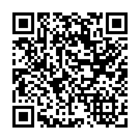 QR code for T2333N