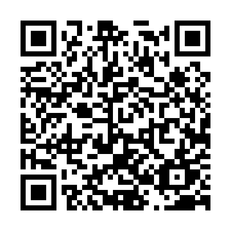 QR code for T2411T