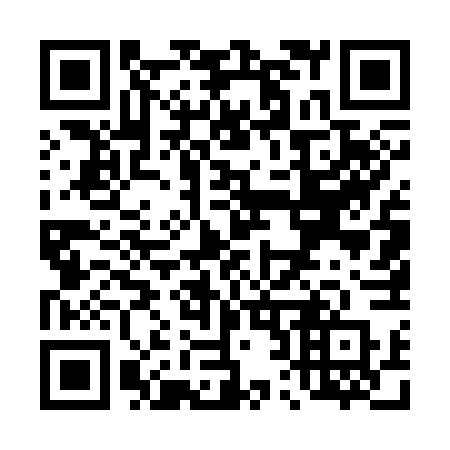 QR code for T2536P