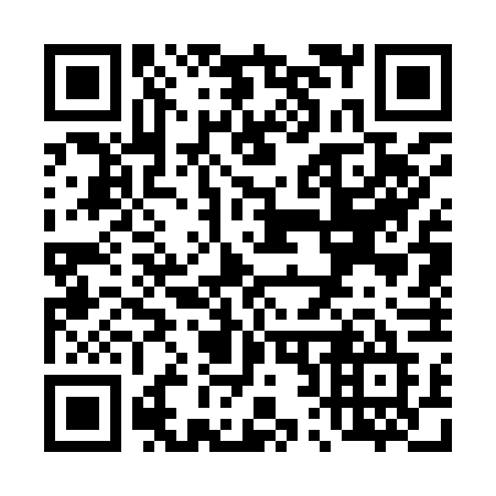 QR code for plate T27-96E