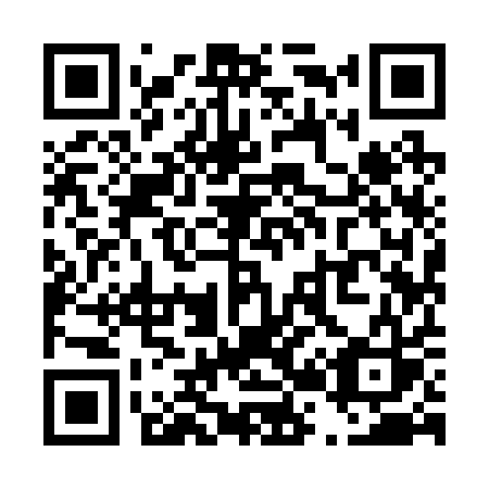 QR code for T29-21S